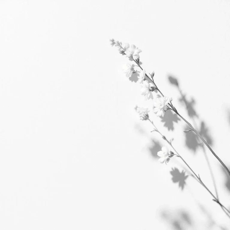 La Routine di Bellezza Perfetta: Come Prendersi Cura della Pelle a Ogni Età